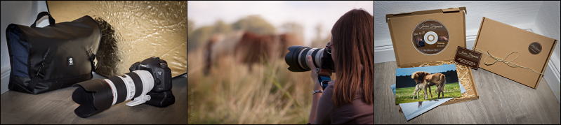Ablauf einer Fotografischen Begleitung Ablauf einer Fotografischen Begleitung