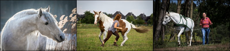 Fotoreihe Fotoreihe