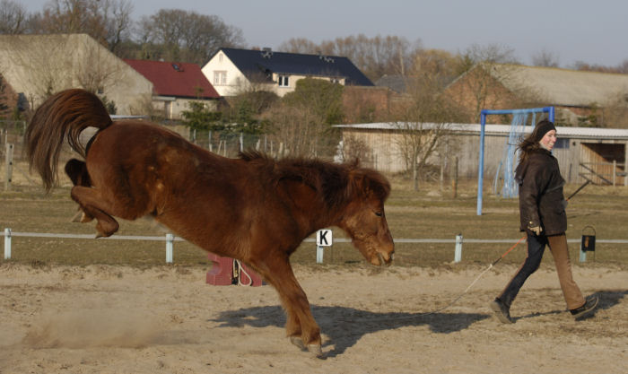 Eldur bockt frei Eldur bockt frei