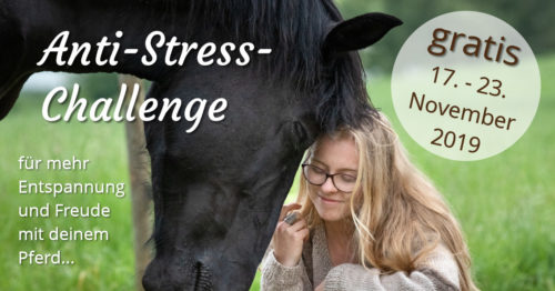 Kostenlose Anti-Stress-Challenge für Pferdemenschen vom 17. bis 23. November 2019