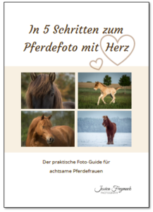 In 5 Schritten zum Pferdefoto mit Herz - Der praktische Foto-Guide für achtsame Pferdefrauen