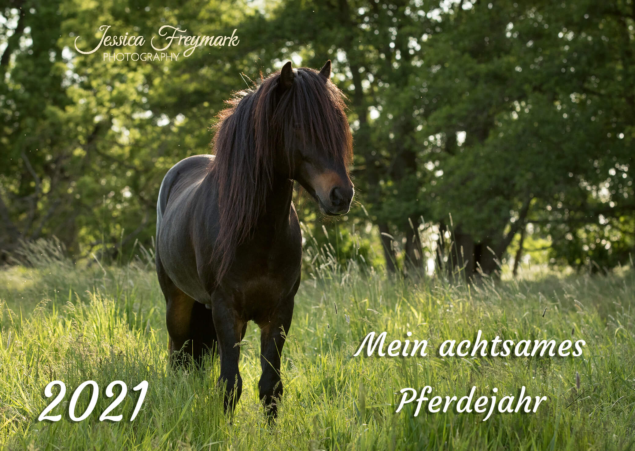 Kalender_2021_00_Titel Kalender_2021_00_Titel