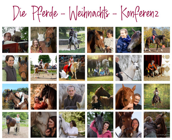 Pferde-Weihnachtskonferenz_klein Pferde-Weihnachtskonferenz_klein
