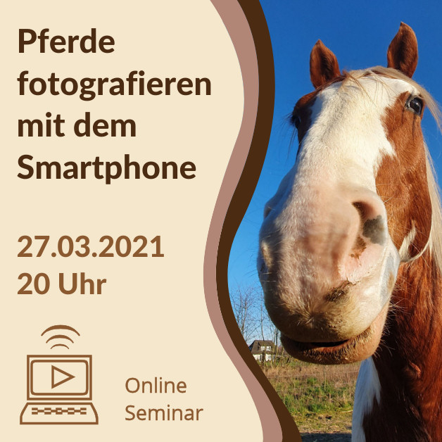 Grafik-Onlineseminar_Smartphone2021_Quadratisch Grafik-Onlineseminar_Smartphone2021_Quadratisch
