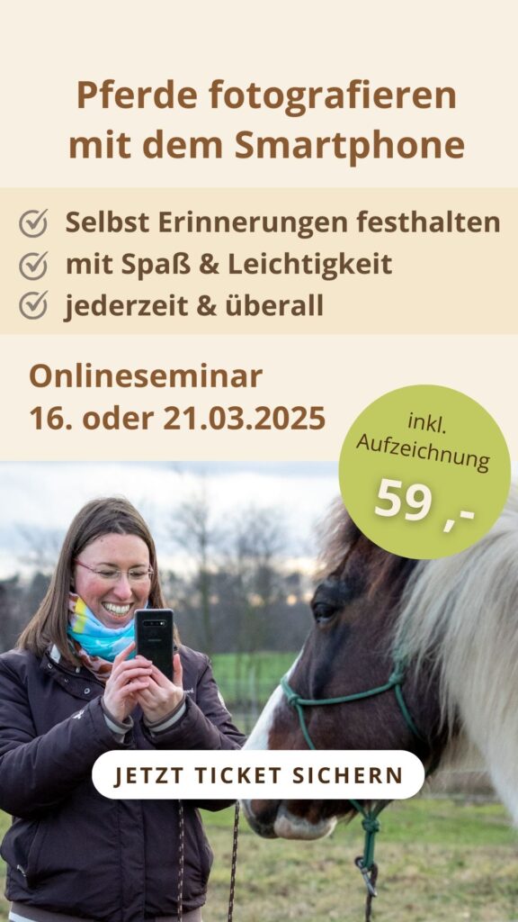 Onlineseminar Pferde fotografieren mit dem Smartphone am 16. und 21. März. Jetzt anmelden