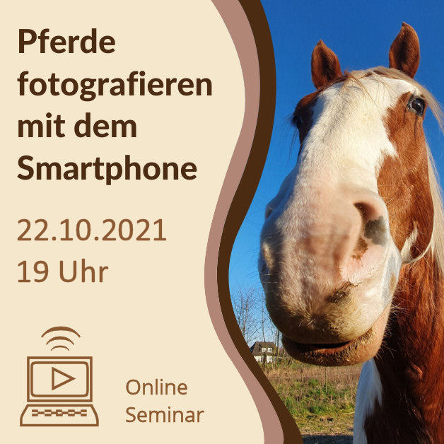 Grafik-Onlineseminar_Smartphone2021b_Quadratisch Grafik-Onlineseminar_Smartphone2021b_Quadratisch