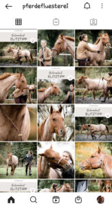 Pferdeflüsterei Instagram Feed