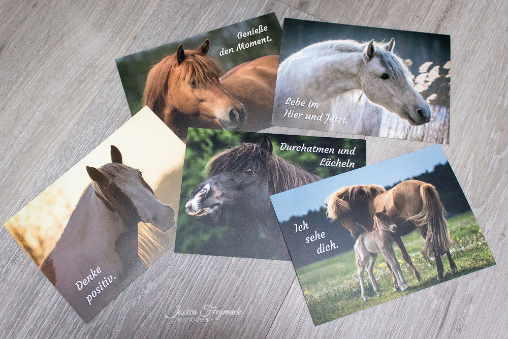 Postkarten-Set Achtsamkeit mit Pferd