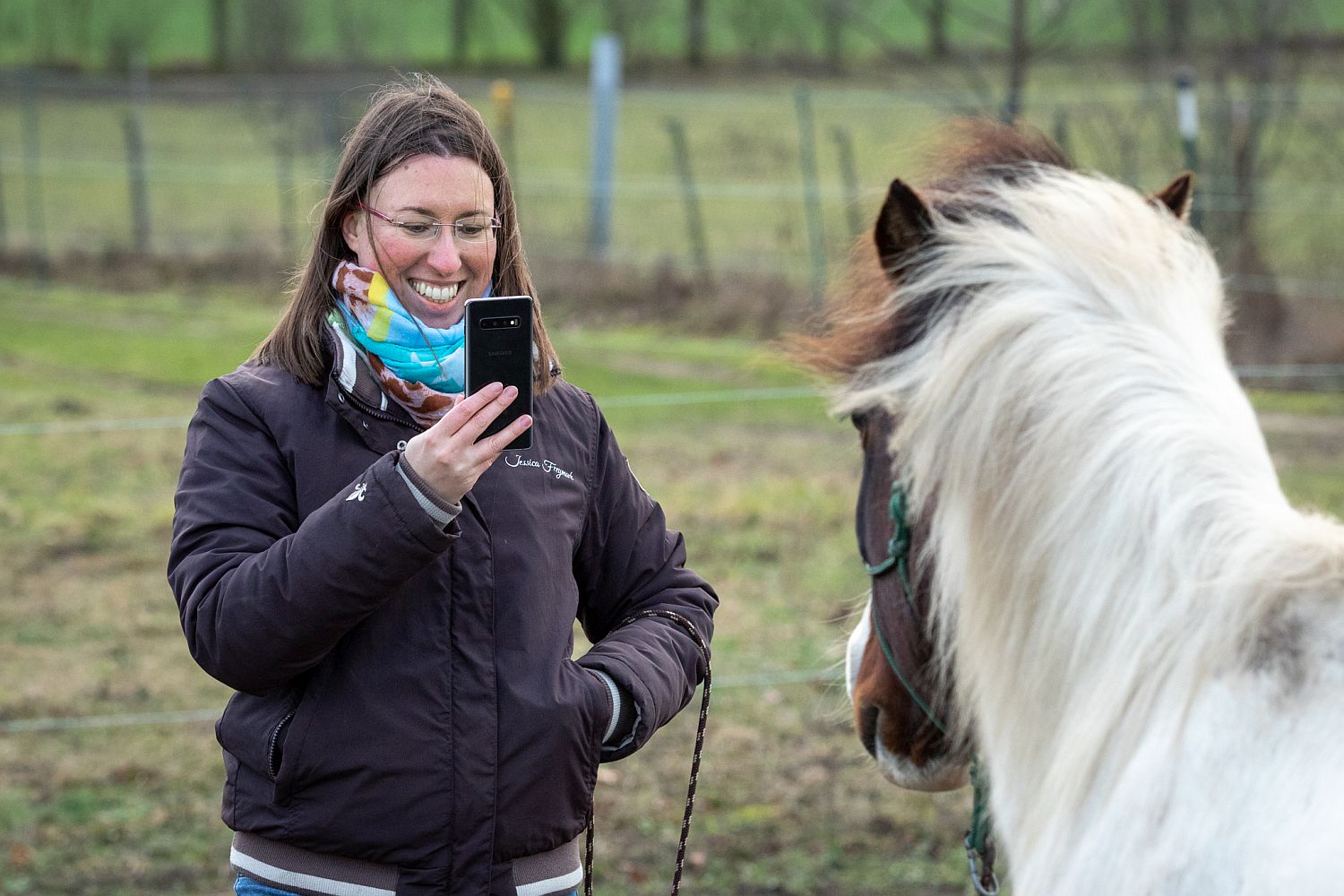 Pferde fotografieren mit dem Smartphone