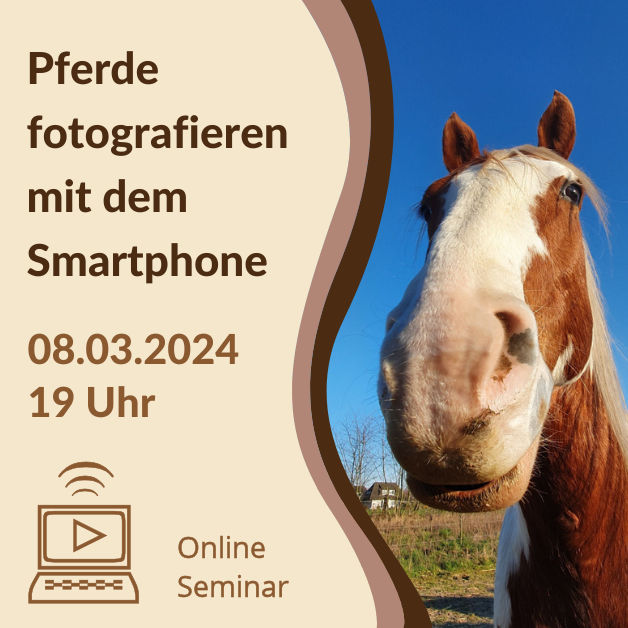 Handy-Pferdefotografie Onlineseminar