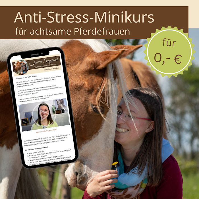 Antistressminikurs_cover