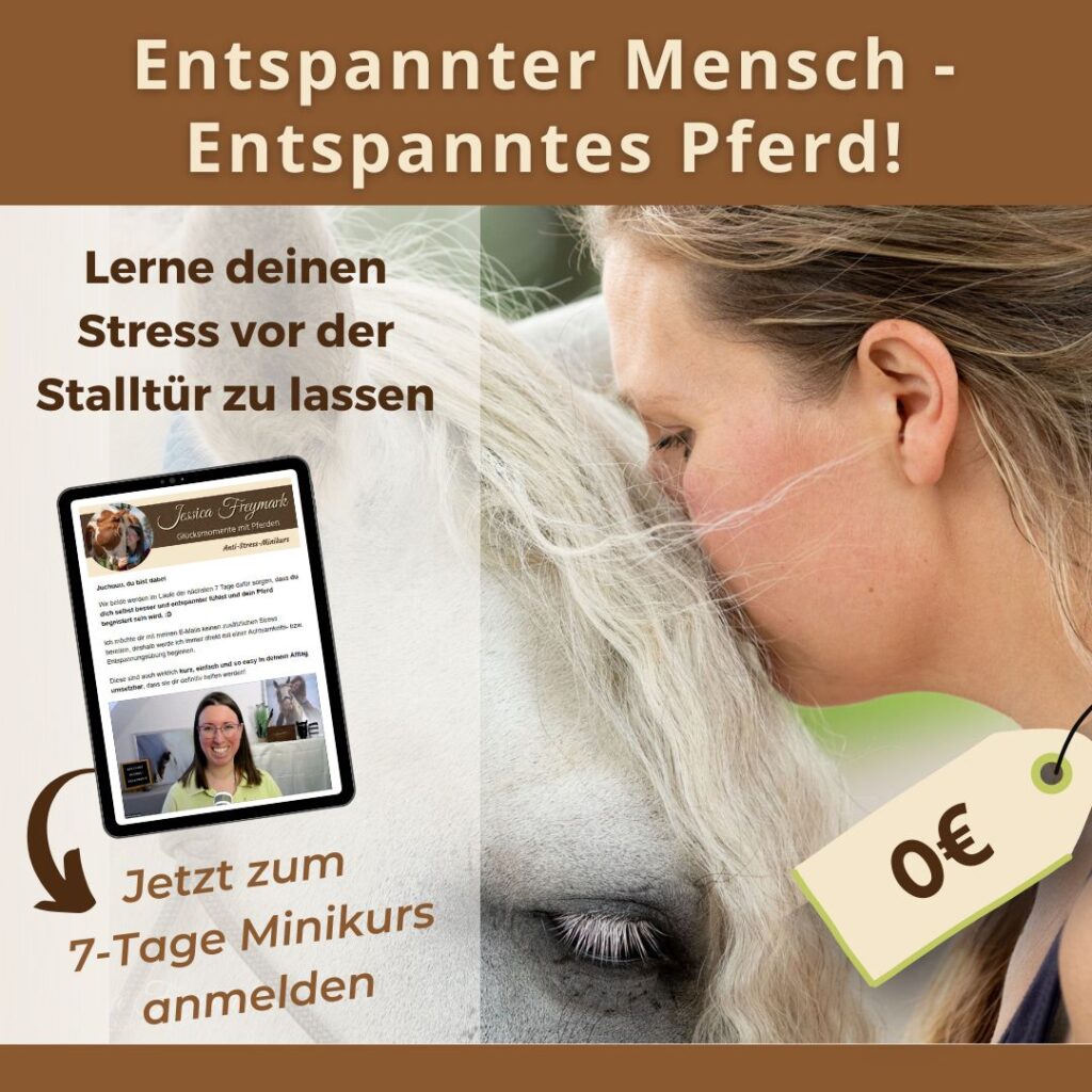 Werbung: Entspannter Mensch - Entspanntes Pferd. Lerne deinen Stress vor der Stalltür zu lassen. Melde dich jetzt für 0€ zum 7-Tage Minikurs an.