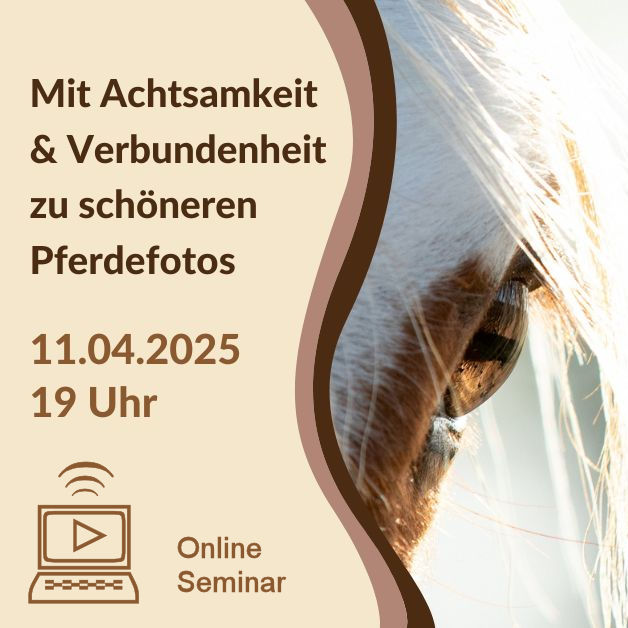 Onlineseminar_Achtsamkeit2025