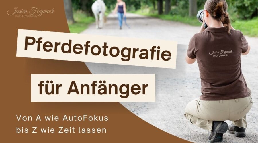 Vorschaubild Blogartikel Pferdefotografie für Anfänger