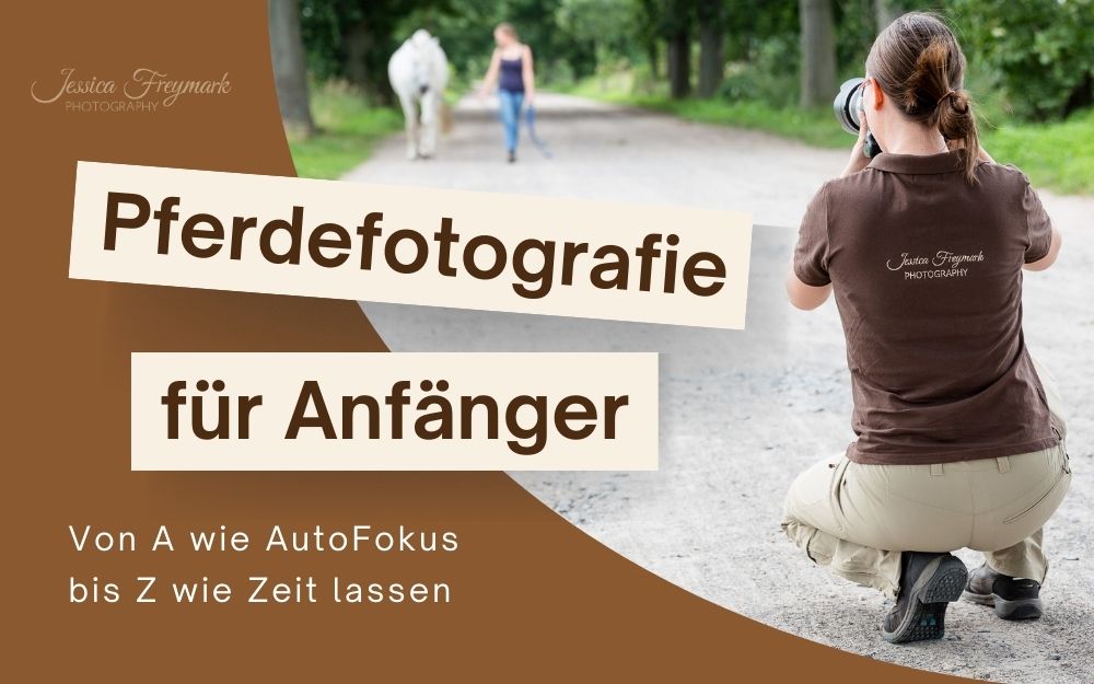 Vorschaubild Blogartikel Pferdefotografie für Anfänger