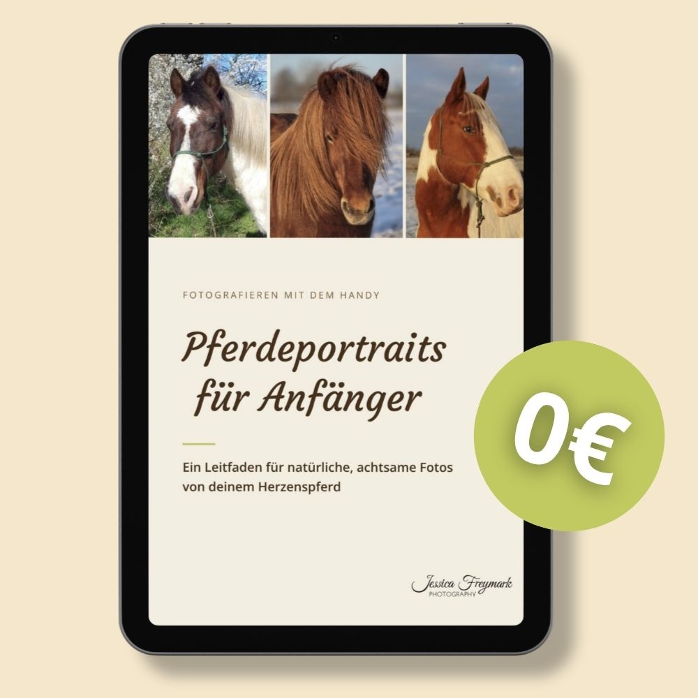 Mockup vom Titelblatt Pferdeportraits für Anfänger
