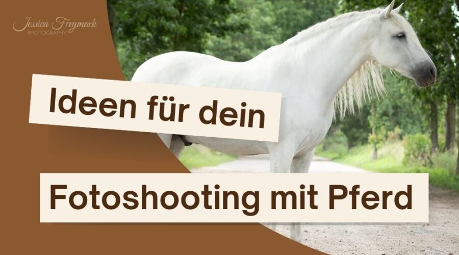Coverbild mit einem Schimmel und dem Text Ideen für dein Fotoshooting mit Pferd