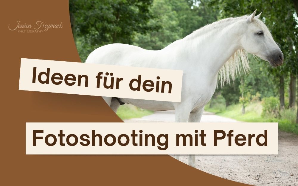 Coverbild mit einem Schimmel und dem Text Ideen für dein Fotoshooting mit Pferd