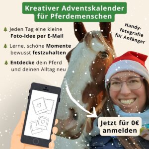 Kreativer Adventskalender für Pferdemenschen: Handyfotografie für Anfänger. Jeden Tag eine kleine Foto-Idee per E-Mail. Entdecke dein Pferd und deinen Alltag neu. Lerne, schöne Momente bewusst festzuhalten. Jetzt für 0€ anmelden.