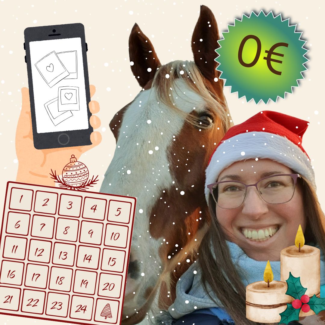 Frau mit Weihnachtsmütze, Pferd, Kalendersymbol, Handysymbol und 0€-Zeichen.