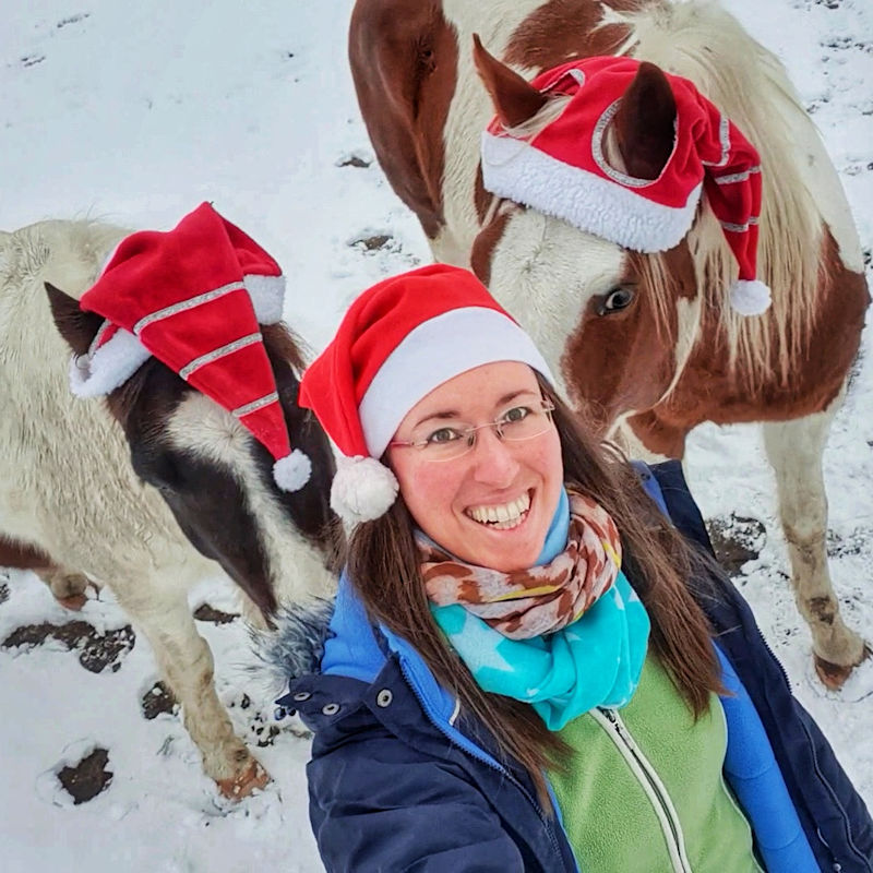 Jessica Freymark mit Weihnachtsmütze macht ein Selfie von sich und ihren beiden Pflegepferden. Die zwei Schecken tragen auch Weihnachtsmützen.