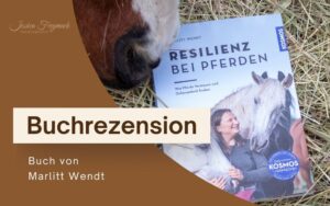Buchrezension - Ein Buch von Marlitt Wendt