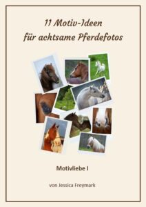 Cover_Motivliebe1