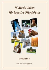Cover_Motivliebe2