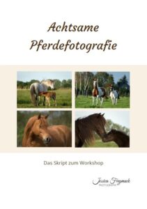 Skript_Workshop