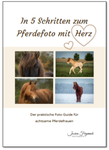 freebie_fotoguide