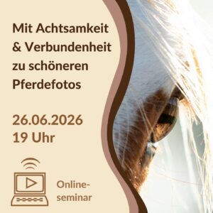 Onlineseminar am 26.06.26 um 19 Uhr