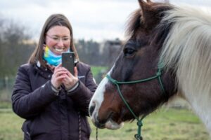 Mensch mit Handy fotografiert ein dunkelbraun-weiß-geschecktes Pony