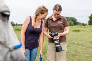 Fotografin und Kundin schauen sich gemeinsam Fotos auf der kamera an, während ein weißes Pferd daneben steht