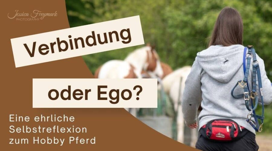 Vorschaubild zum Blogartikel Verbindung oder Ego