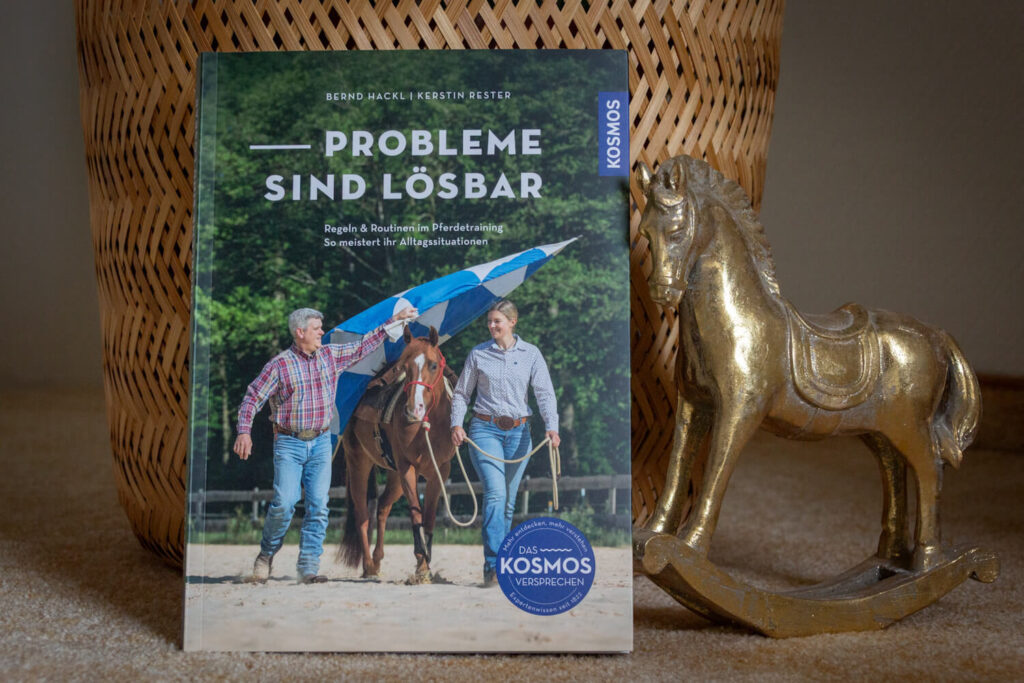 Cover des Buches Probleme sind lösbar