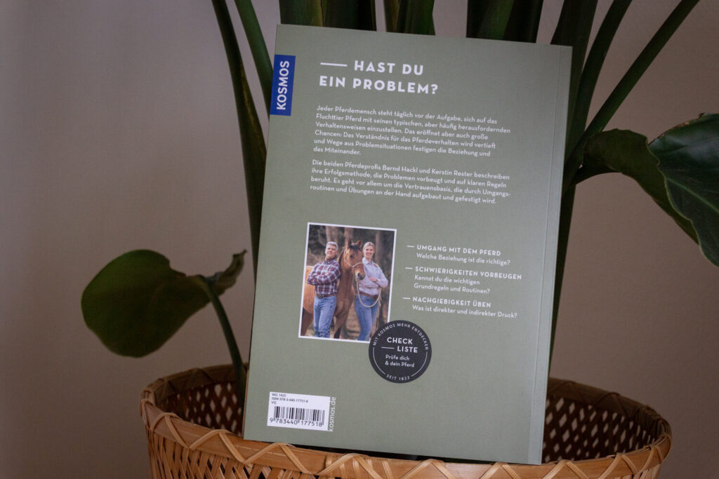 Rückseite des Buches Probleme sind lösbar