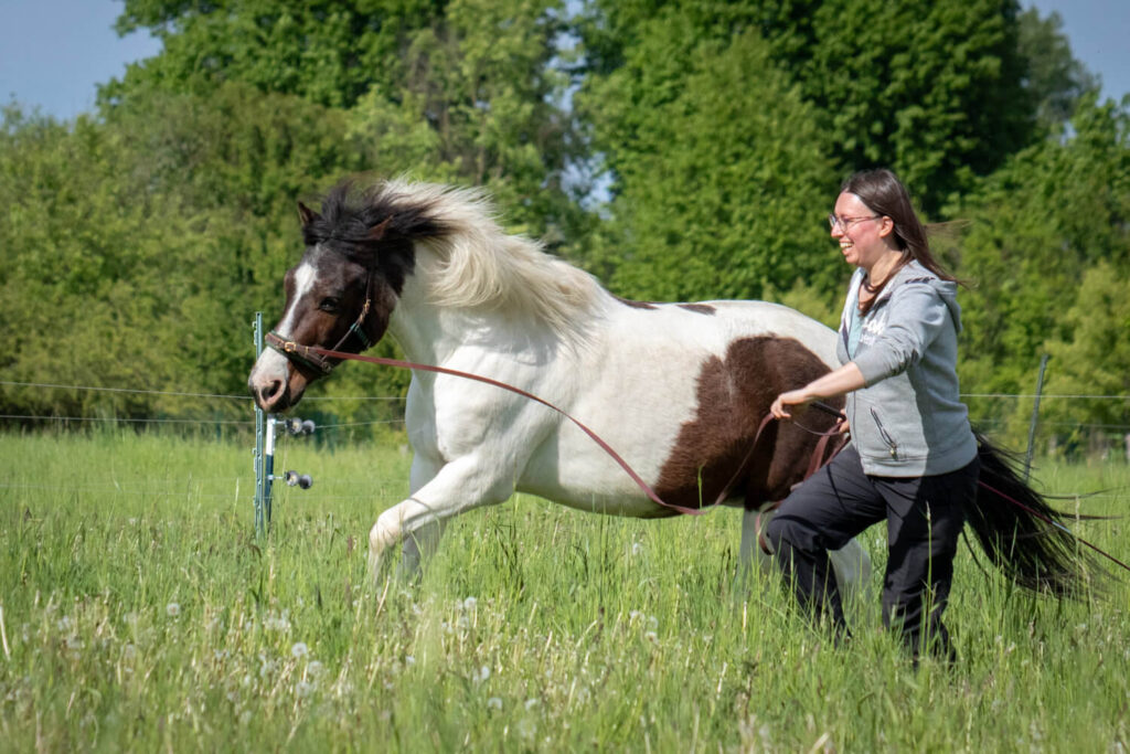 Autorin Jessica Freymark mit ihrem Pflegepferd Janek. Rennen gemeinsam über die Wiese.