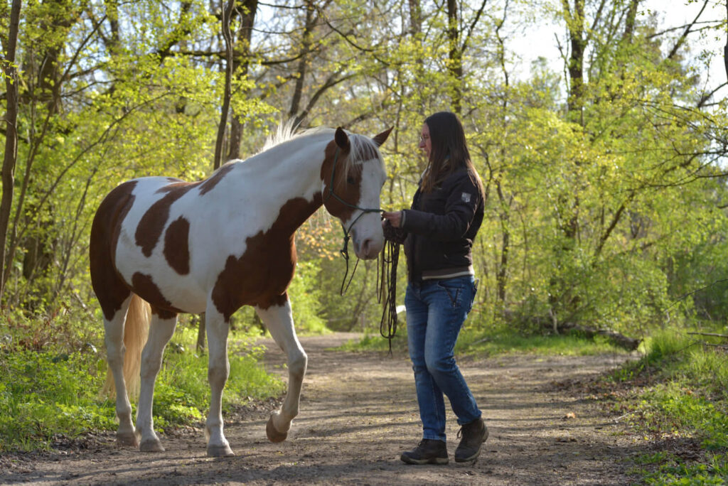 Autorin Jessica Freymark und ihr Pflegepferd Jack beim Schulterherein am Knotenhalfter auf einem Waldweg.