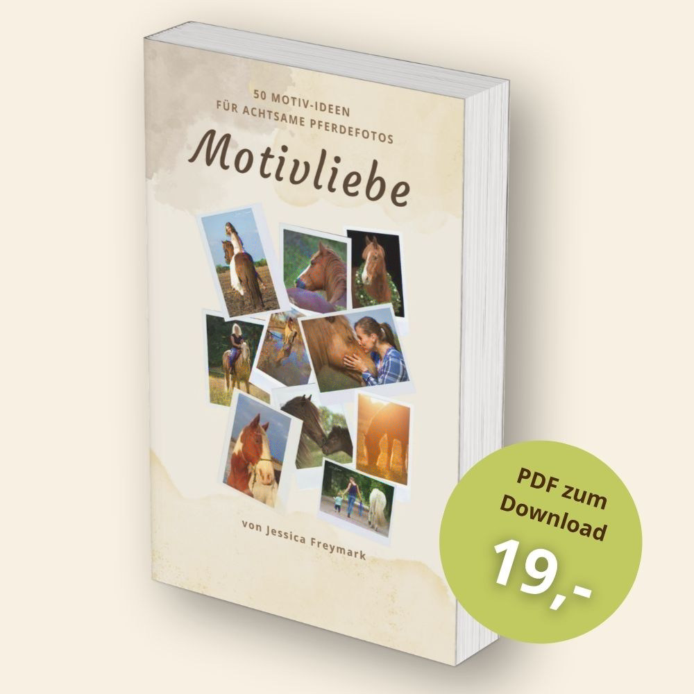 Mockup Bild des PDFs