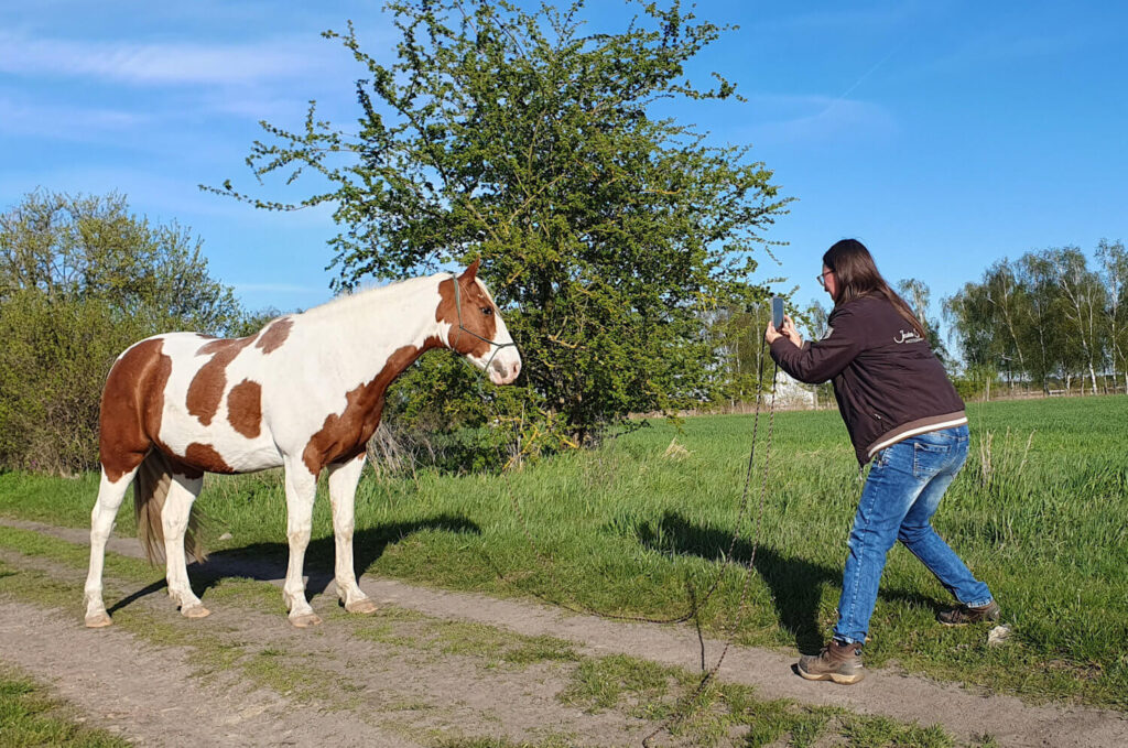 Jessica fotografiert ihr Pflegepferd Jack mit dem Handy