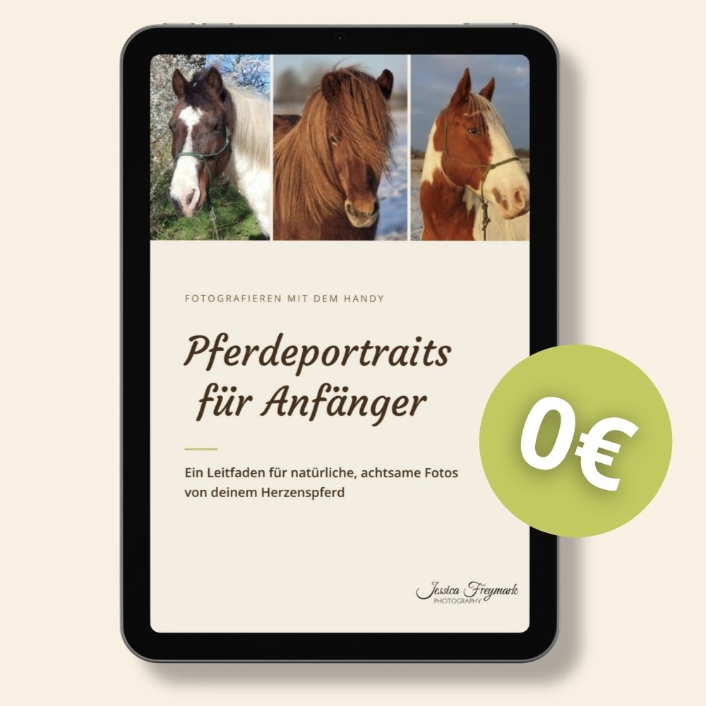 Mockup vom Titelblatt Pferdeportraits für Anfänger