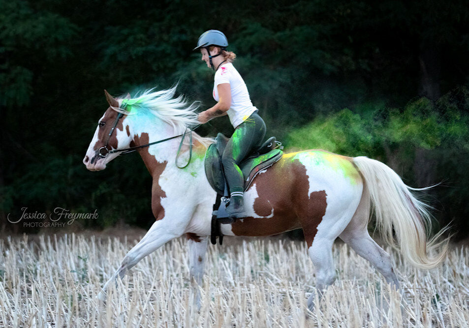 Stoppelfeldgalopp mit Holipulver
