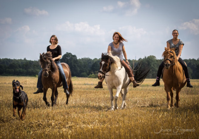 3 Frauen auf ihren Pferden