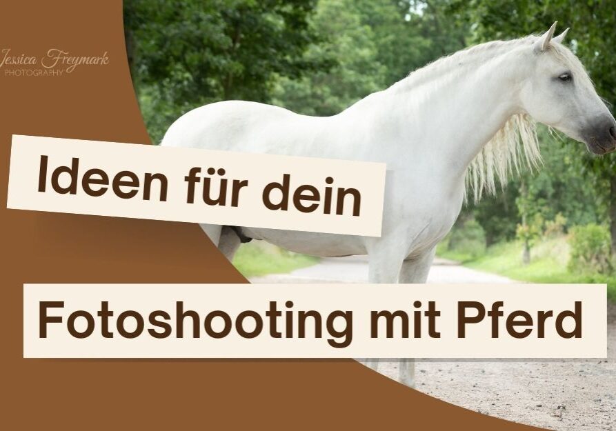 Coverbild mit einem Schimmel und dem Text Ideen für dein Fotoshooting mit Pferd